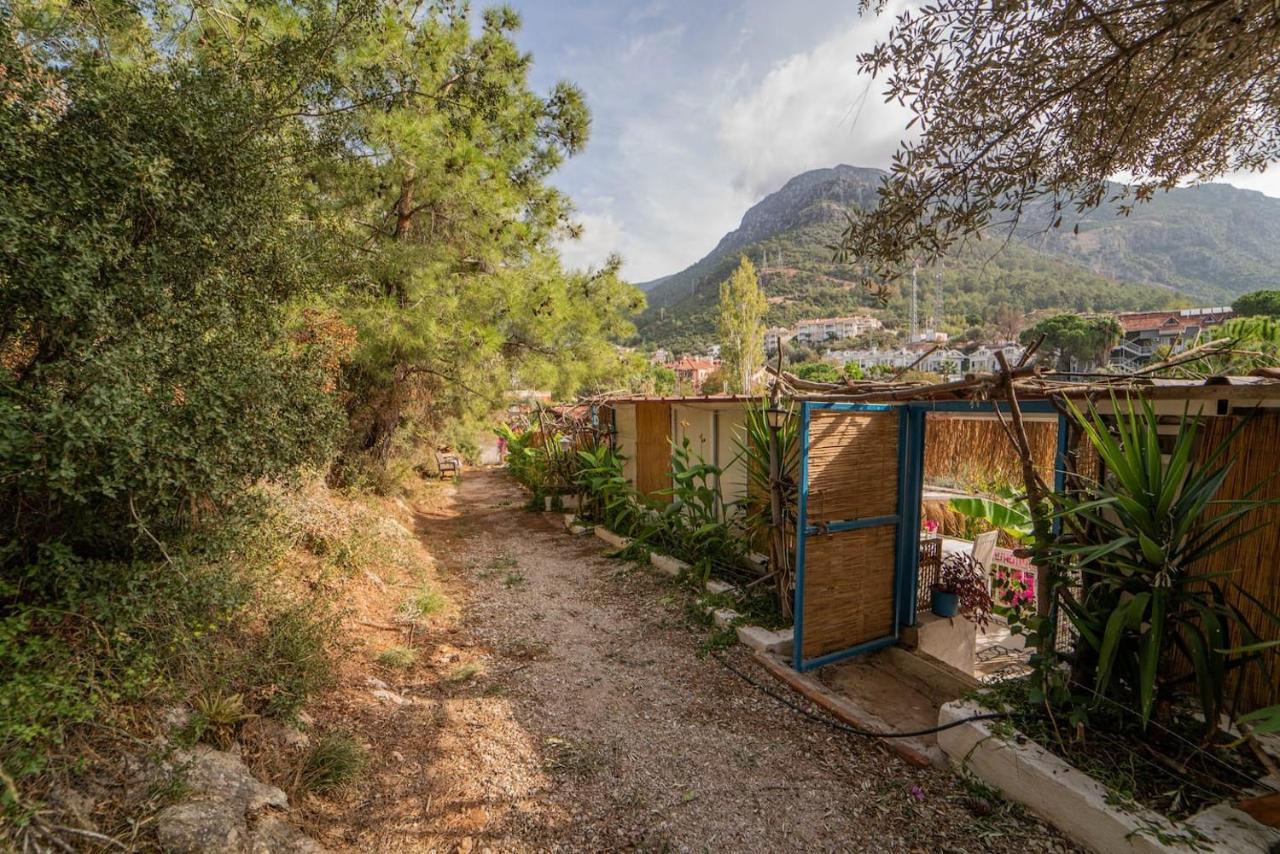 Begonvilla Bungalows Fethiye Dış mekan fotoğraf