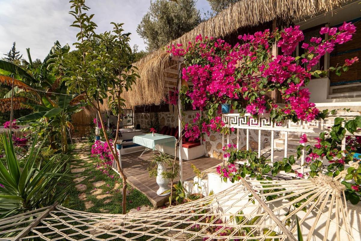 Begonvilla Bungalows Fethiye Dış mekan fotoğraf